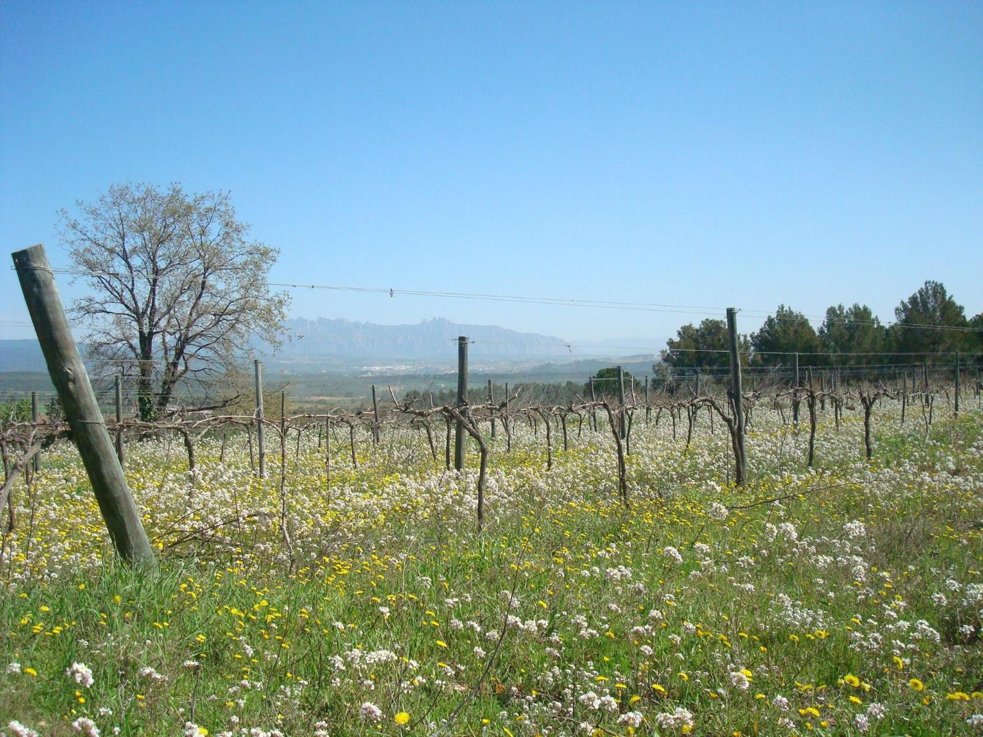Comarquinal Bioresort Penedes *