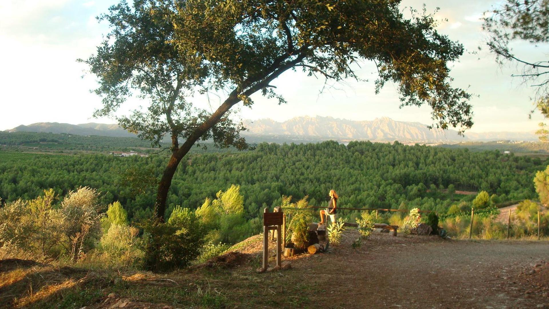 Comarquinal Bioresort Penedes *