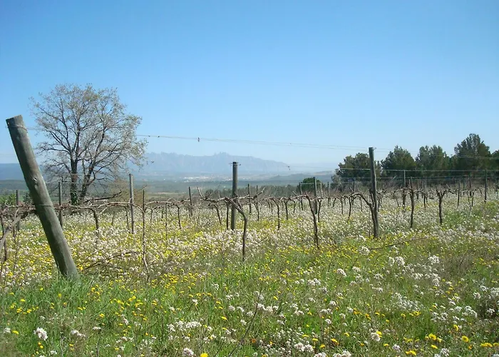 Comarquinal Bioresort Penedes
